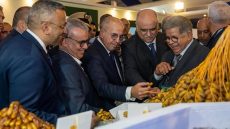 وزير الفلاحة يعطي انطلاقة ملتقى التمور بأرفود: دعوة لتدبير مستدام للموارد المائية