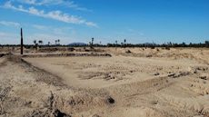 سجلماسة.. مدينة ذهبية تعود إلى الواجهة رغم لغز أطلالها الصحراوية